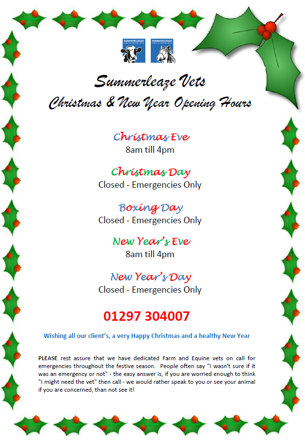 Summerleaze Farm & Equine Vets In Axminster