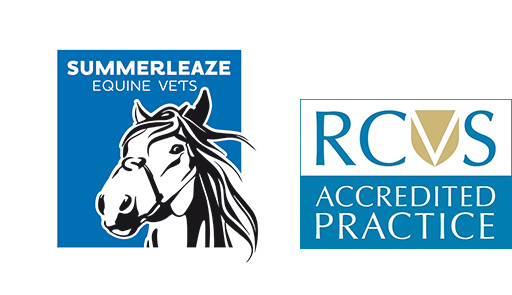 Summerleaze Farm & Equine Vets logo image