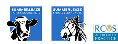Summerleaze Farm & Equine Vets logo image